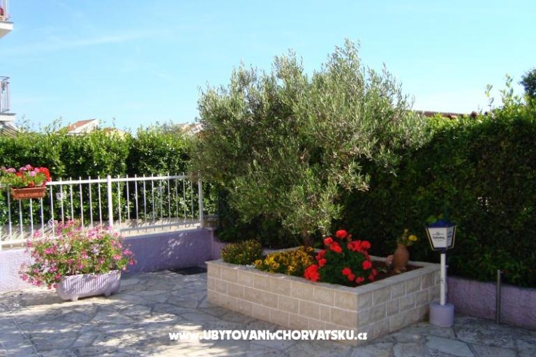 Villa Viola – photo 10
