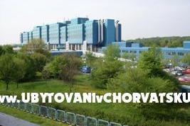 Pension Sveti Ante – photo 2