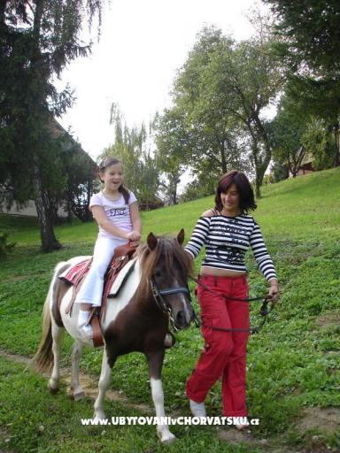Pension Vuglec Breg  B&B – photo 6