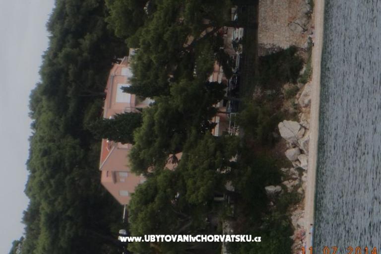 Apartments Dragičević – photo 14