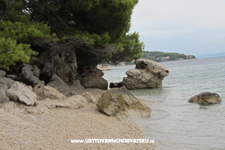 Apartments Jagoda – photo 16