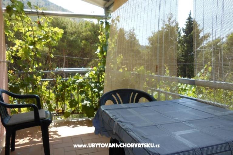 Casa Flowers – photo 6