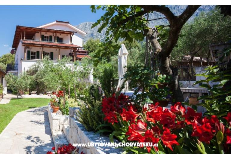 Casa Viter – photo 3