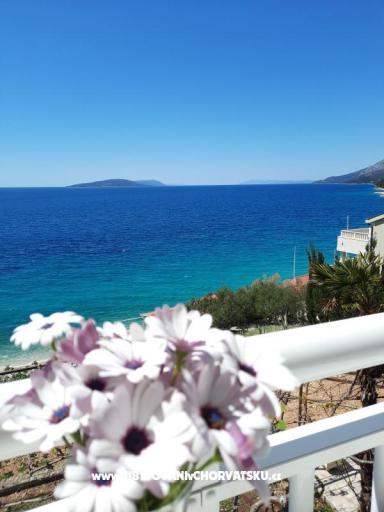 Vila Neda – photo 3