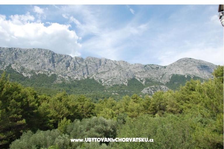 Villa Zaostrog – photo 16