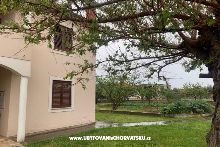 Apartments BLUE – photo 6