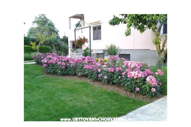 Apartments Martina – photo 16