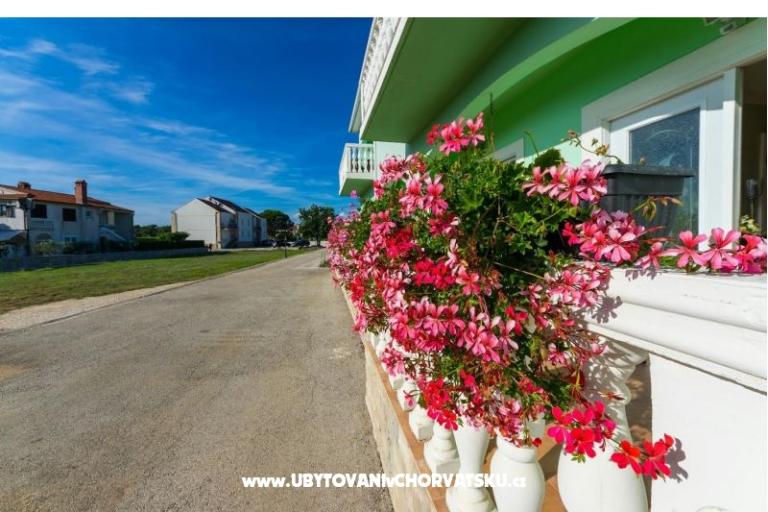 Apartments Vesna – photo 17