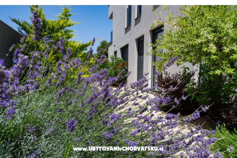 Villa Nina D – photo 7