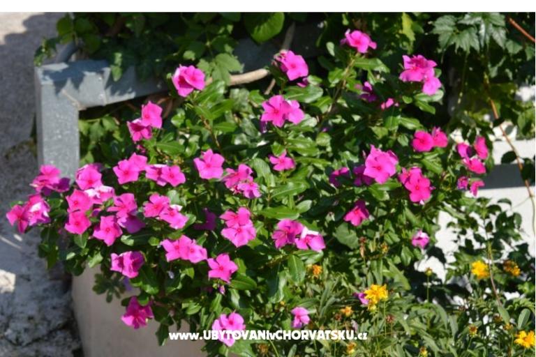 Apartments Majstrović Živogošće – photo 11