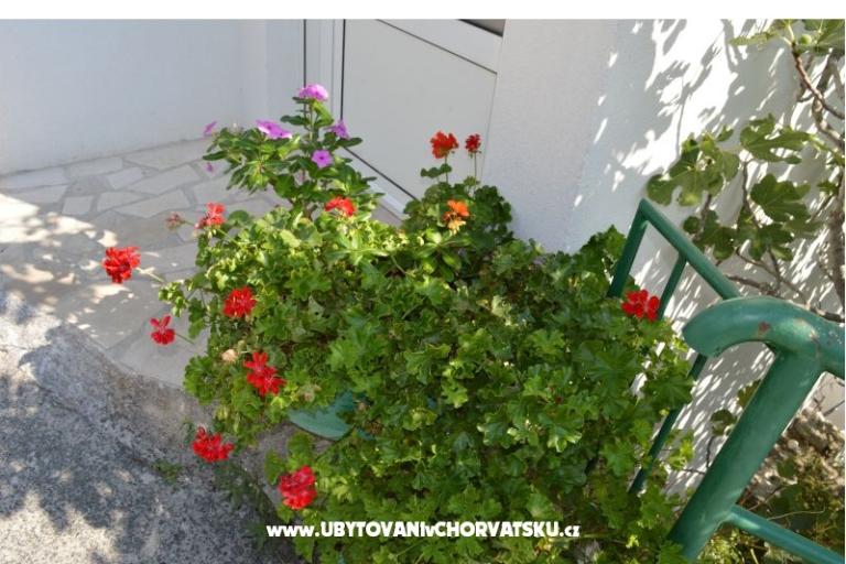 Apartments Majstrović Živogošće – photo 12