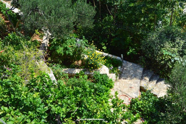 Apartments Majstrović Živogošće – photo 6