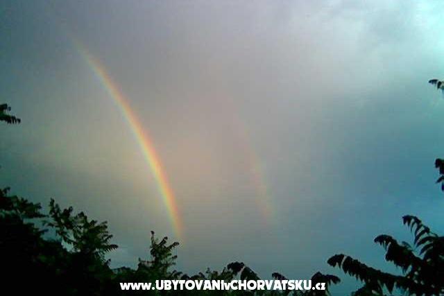 Apartments LM – photo 11