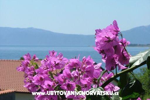 Apartments LM – photo 12