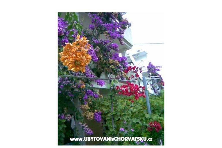 Apartments LM – photo 18