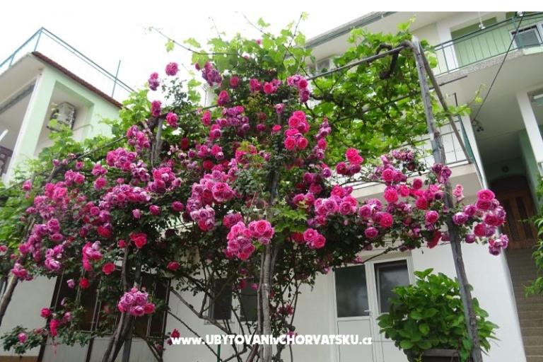 Apartments NEDA – photo 3