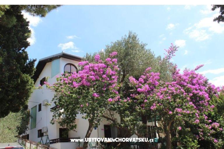 Apartments Vila Filipovic – photo 3