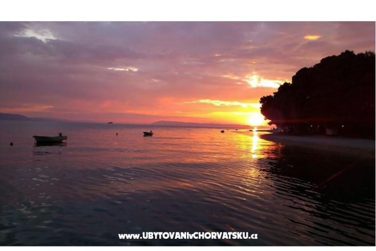 Villa Mila  – photo 13