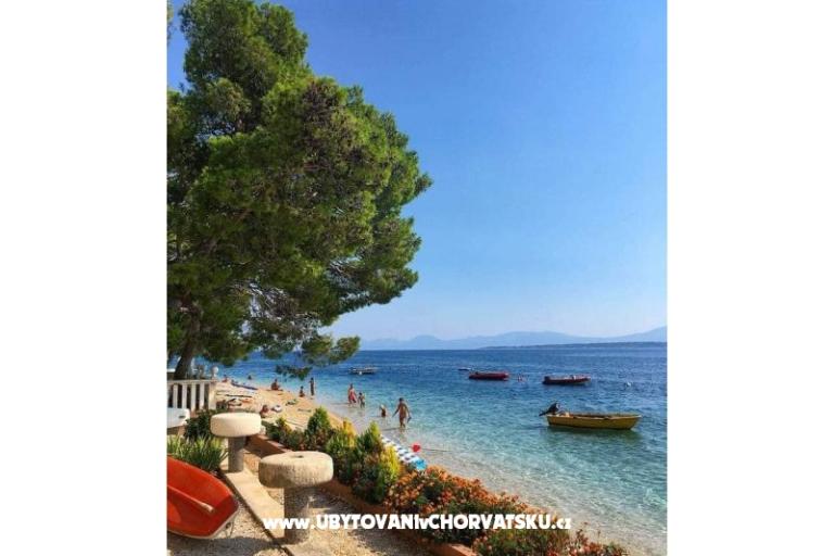 Villa Mila  – photo 18