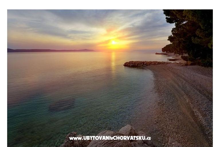 Villa Mila  – photo 6