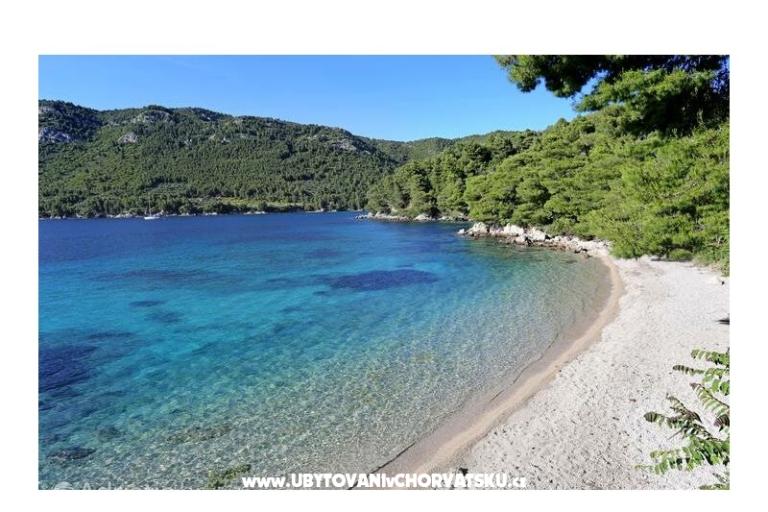 House Kate Čakelić – photo 15